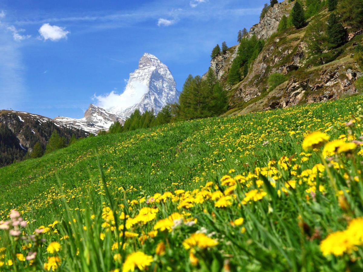 Studio Silence-4 By Interhome Zermatt Exterior photo